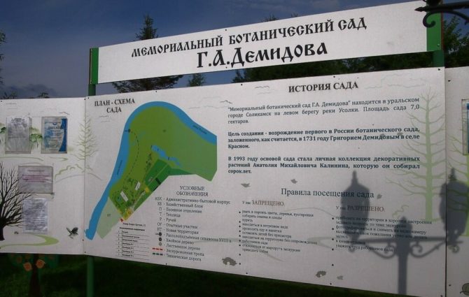 Экспозиционный участок на целинной территории ботанического сада Г.А. Демидова будет благоустроен